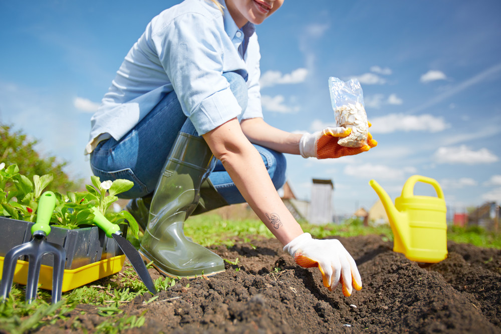 Image Of Female Farmer Sowing Seed In The Garden Royalty Free Stock Image Storyblocks Images 0863