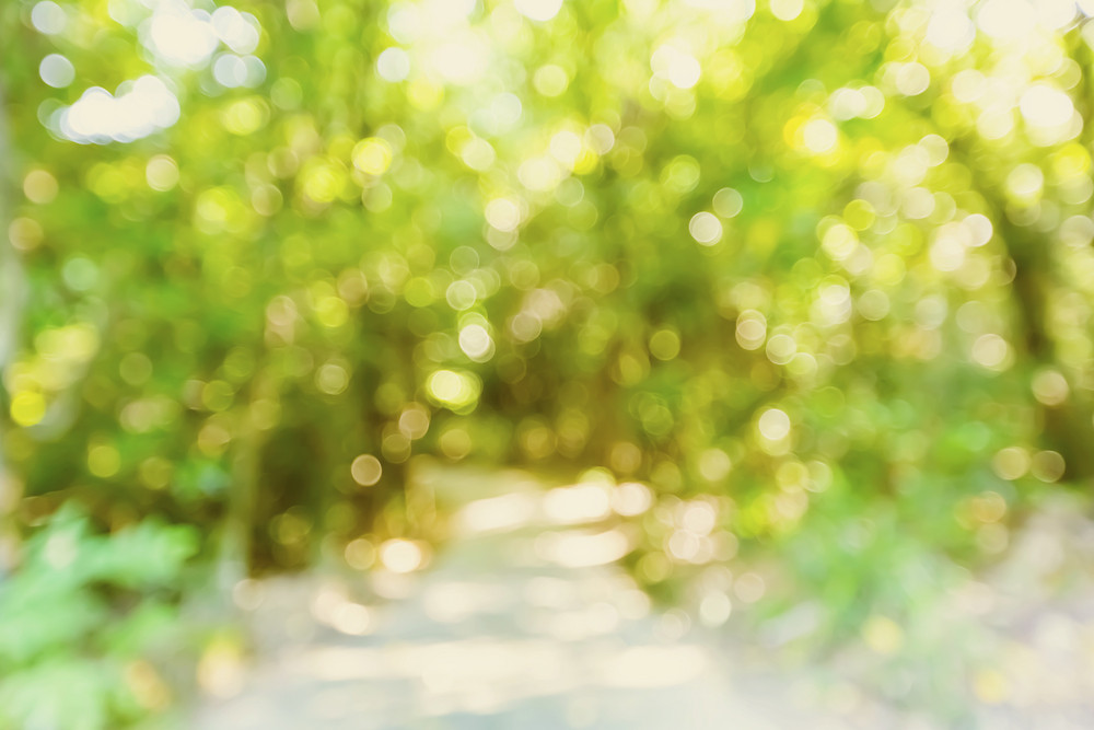 Bright blurred forest pathway abstract background Royalty-Free Stock