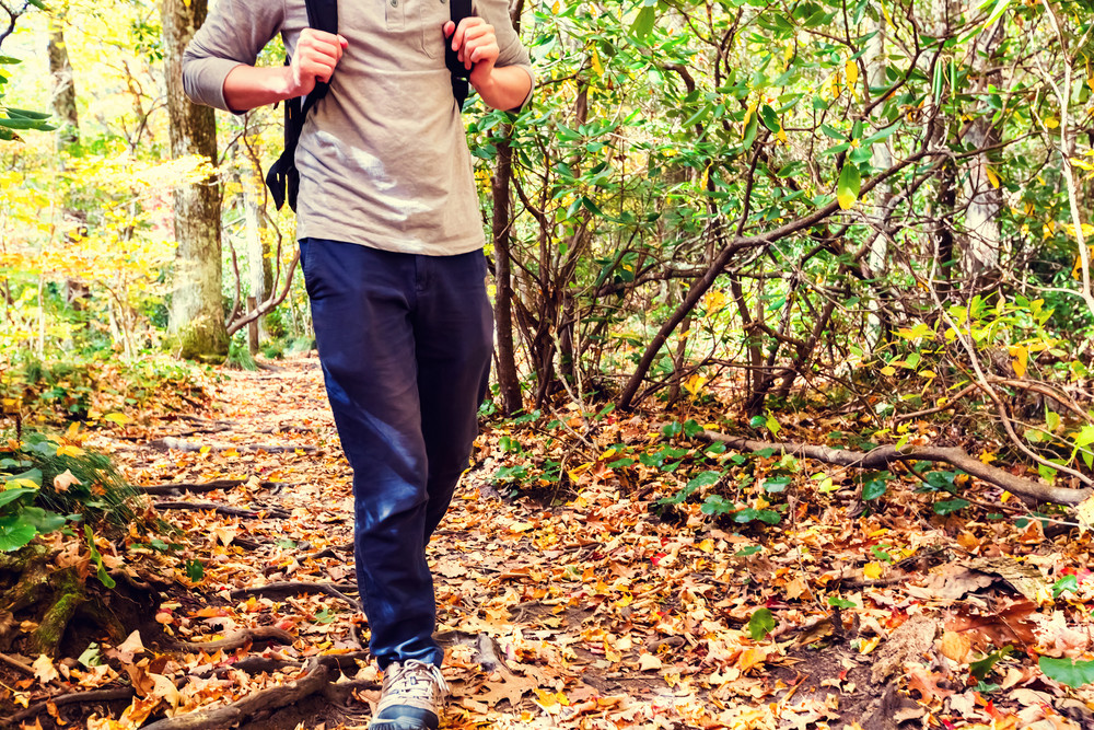 Man walking on a forest path in autumn