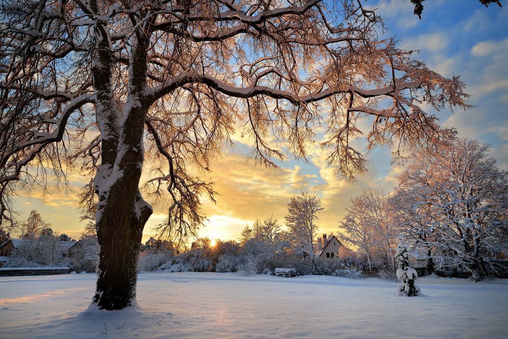 Snow Covered Winter Countryside At The Sunset In Latvia Royalty-Free ...