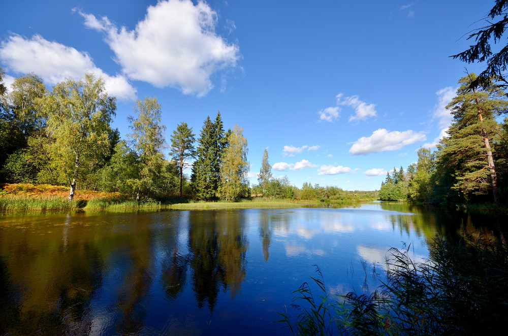 River And Forest Scene In Fall Royalty-Free Stock Image - Storyblocks