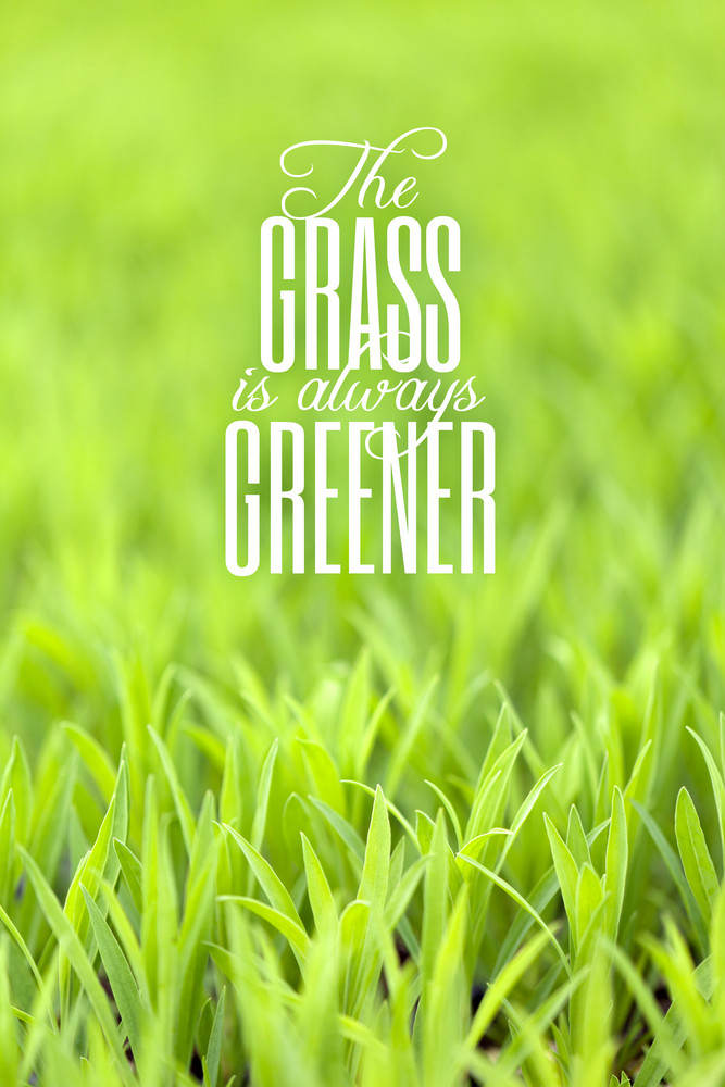 Grass Is Always Greener Quote Royalty Free Stock Image Storyblocks