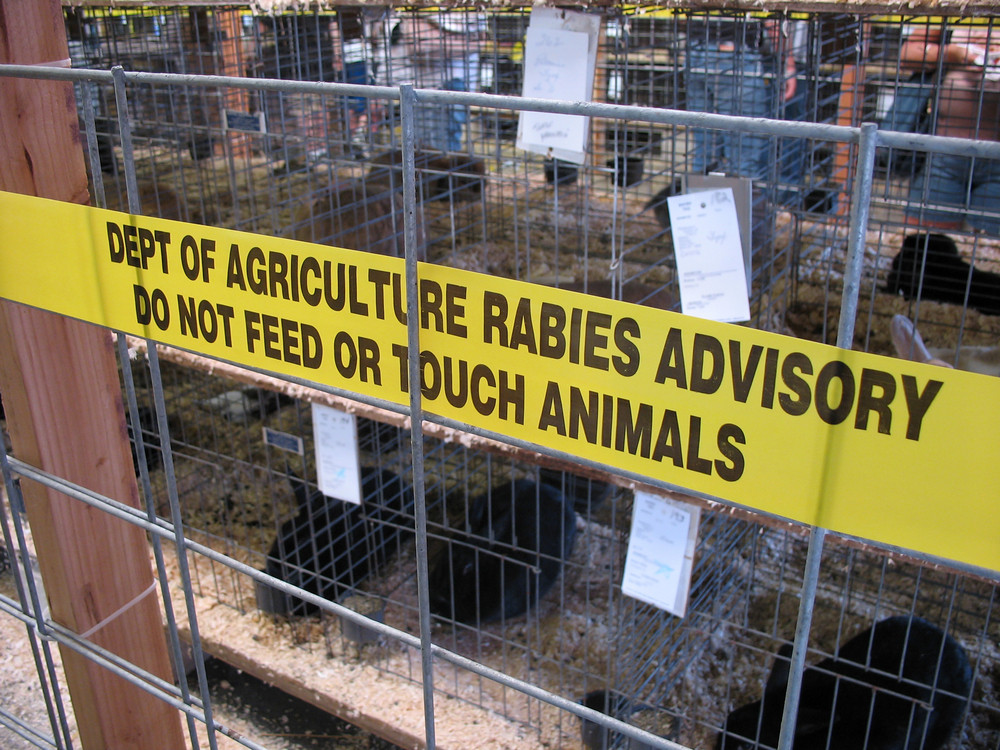 A stripe of yellow tape that reads DEPT OF AGRICULTURE RABIES ADVISORY DO NOT FEED OR TOUCH ANIMALS