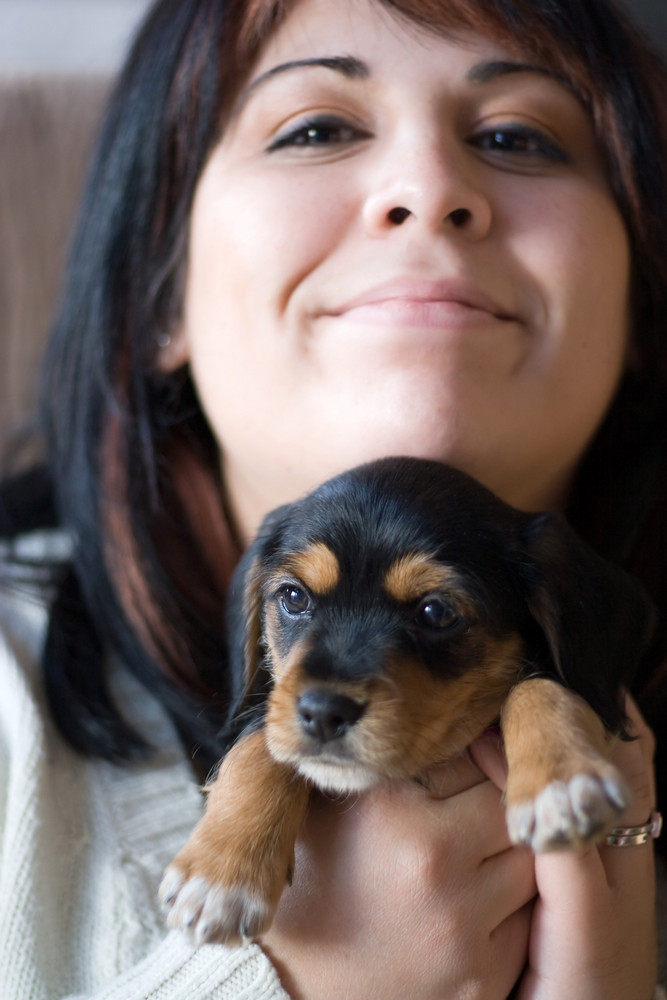 A young woman holding her cute mixed breed puppy - half beagle and half yorkshire terrier. Shallow depth of field with stronger focus on the puppy.