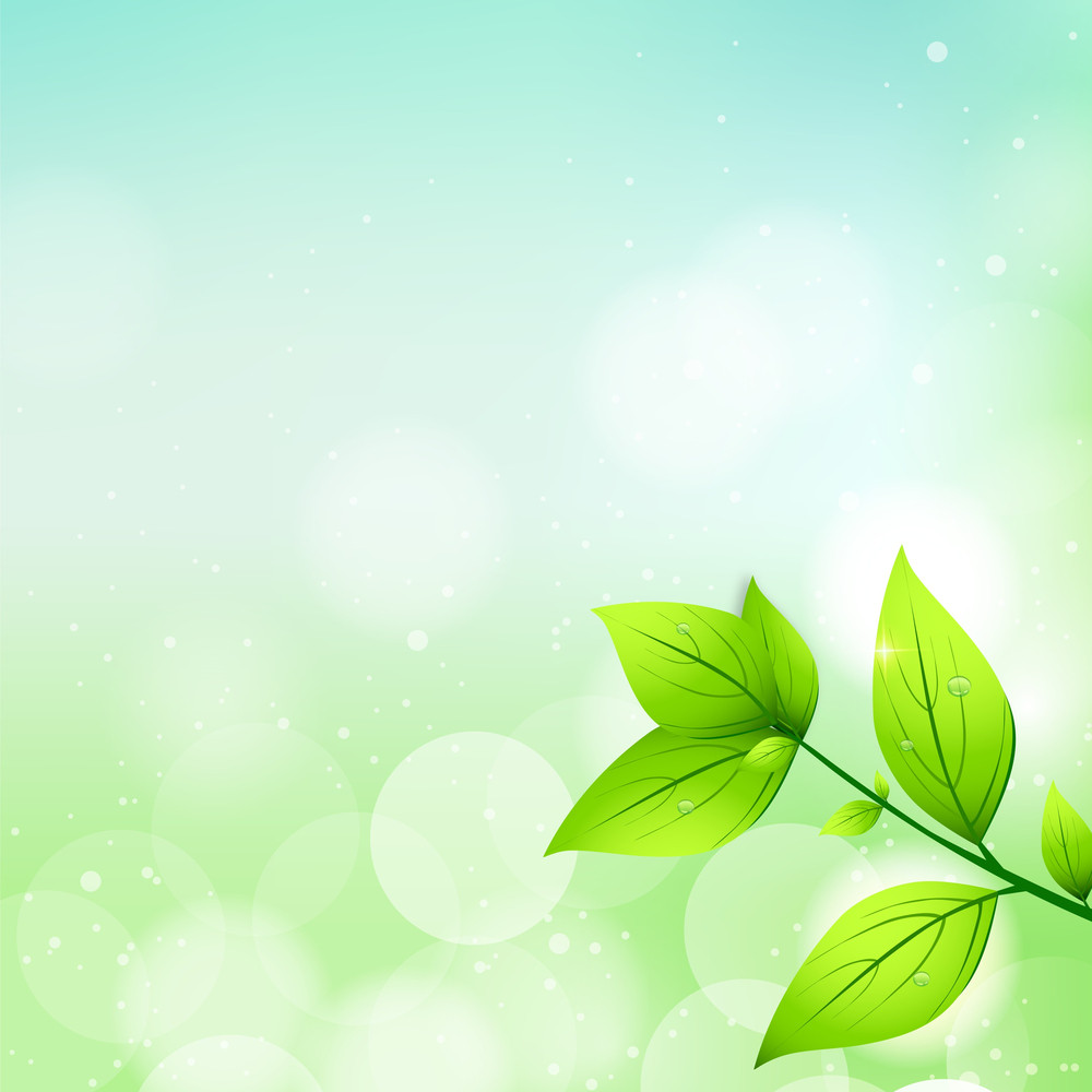 Abstract Nature Background With Fresh Green Leaves Royalty-Free Stock ...