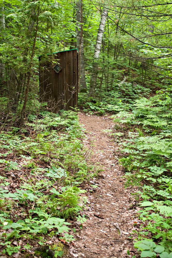 An old outhouse on the trail through the woods.