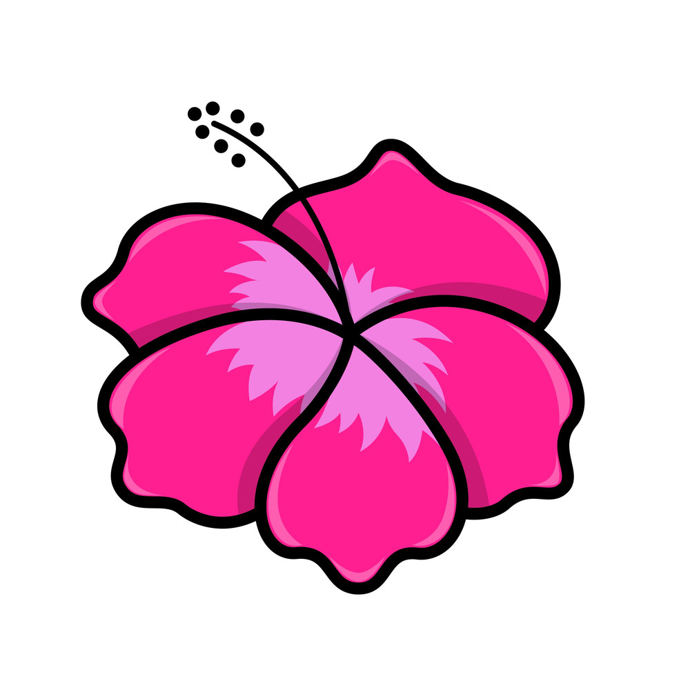 Bunga Raya Flower Vector Illustration Royalty Free Stock Image Storyblocks