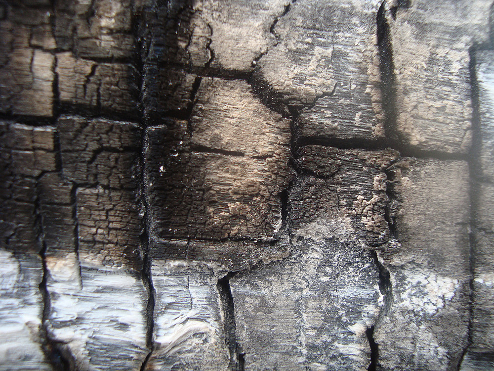 Burnt_wood_texture Royalty-Free Stock Image - Storyblocks