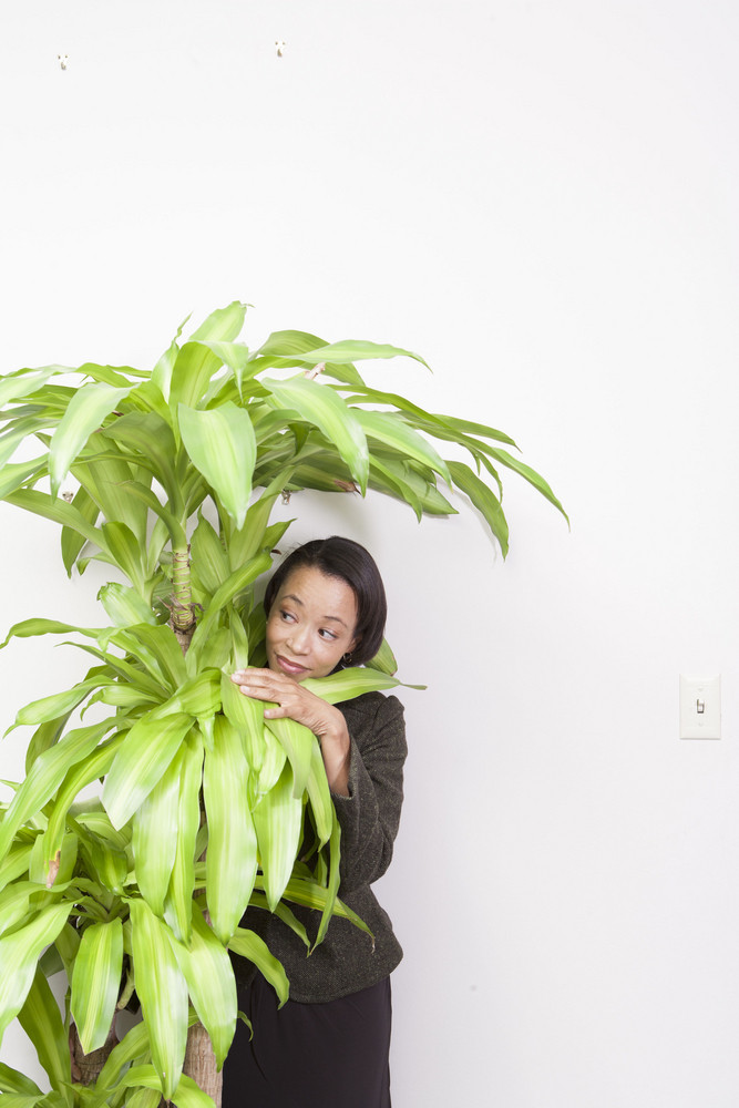 Business person hiding behind plant in office