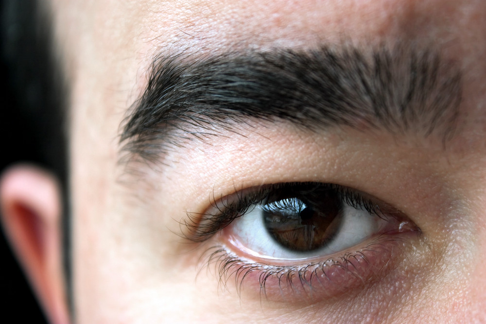 Closeup of a mans brown eye and eyebrow. Shallow depth of field.