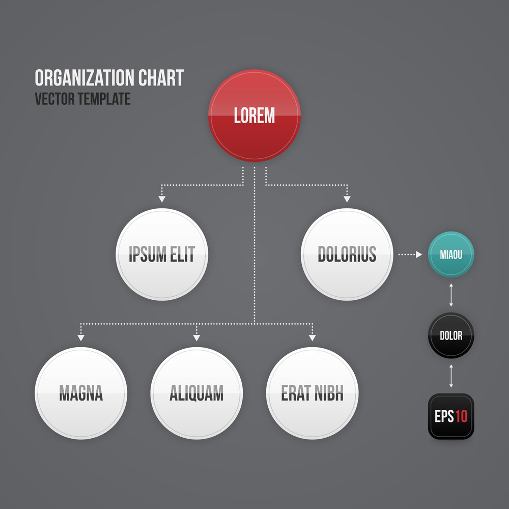 Round Organizational Chart