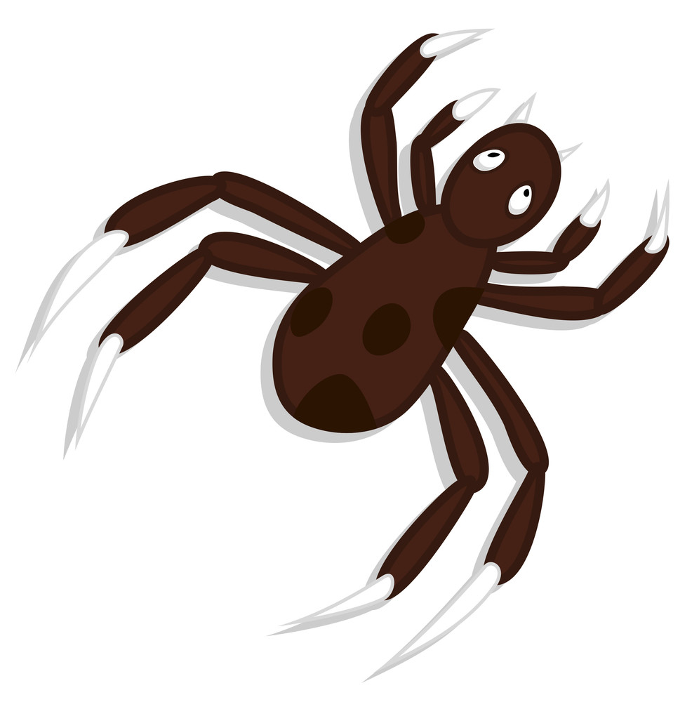 Creepy Spider Vector Art Royalty-Free Stock Image - Storyblocks