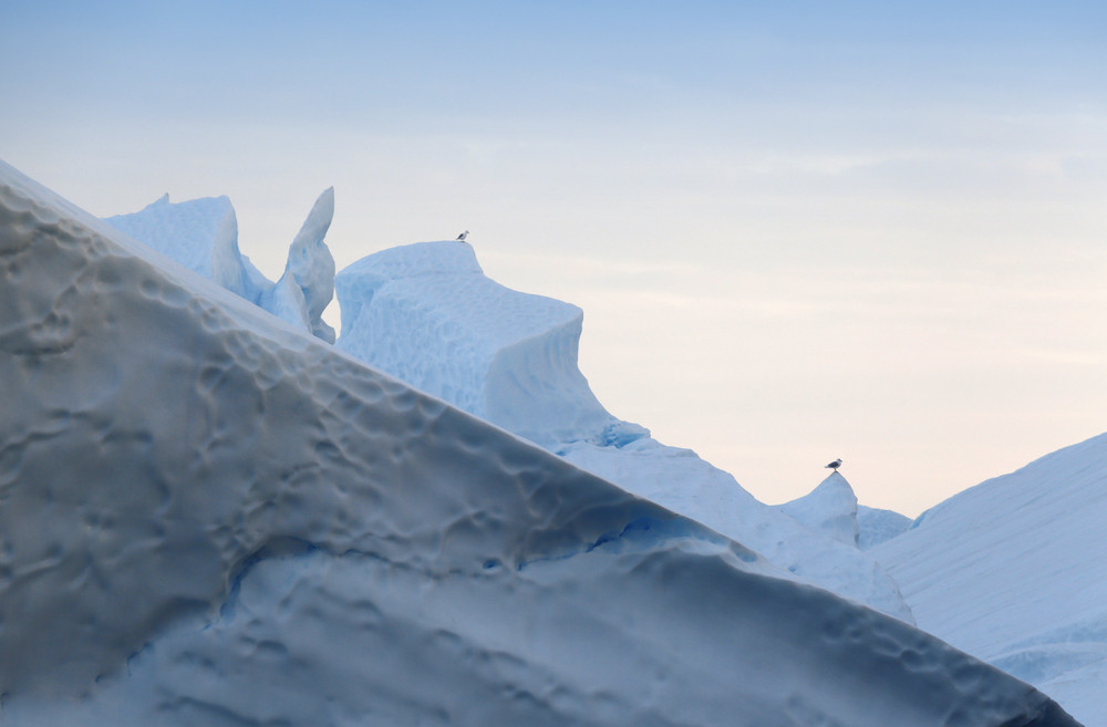 Pair of birds perched on an iceberg at dawn