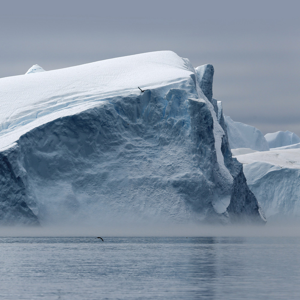 Birds flying over an iceberg under a grey, foggy sky Royalty-Free Stock ...