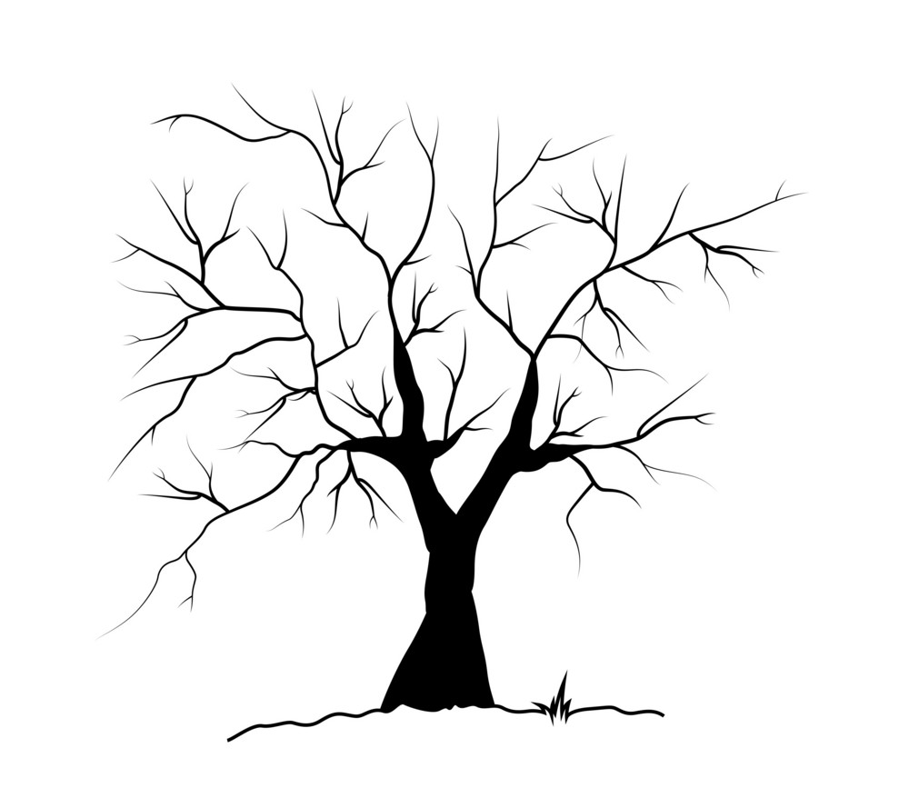 Dead Tree Silhouette Royalty-Free Stock Image - Storyblocks