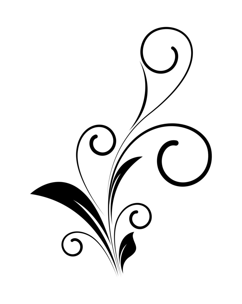 Decorative Swirl Floral Silhouette Vector Royalty-Free Stock Image ...