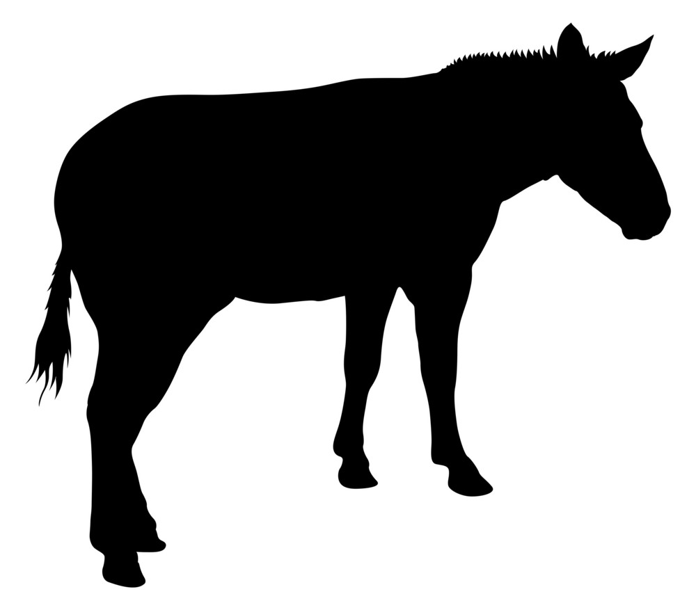 Donkey Animal Silhouette Royalty-Free Stock Image - Storyblocks