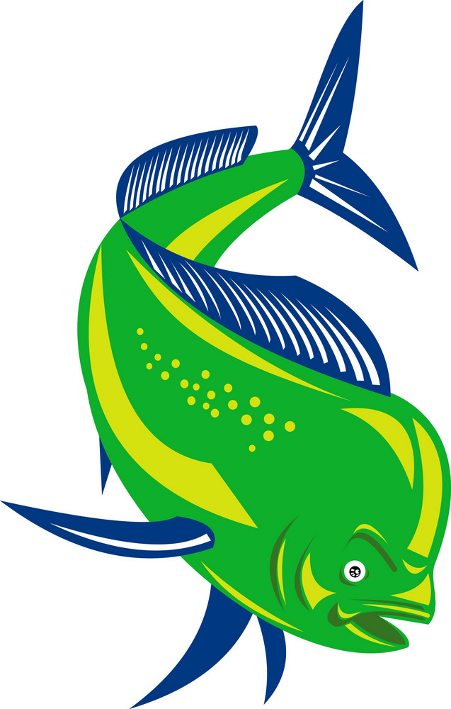 Dorado Dolphin Fish Mahi-mahi Jumping Royalty-Free Stock Image