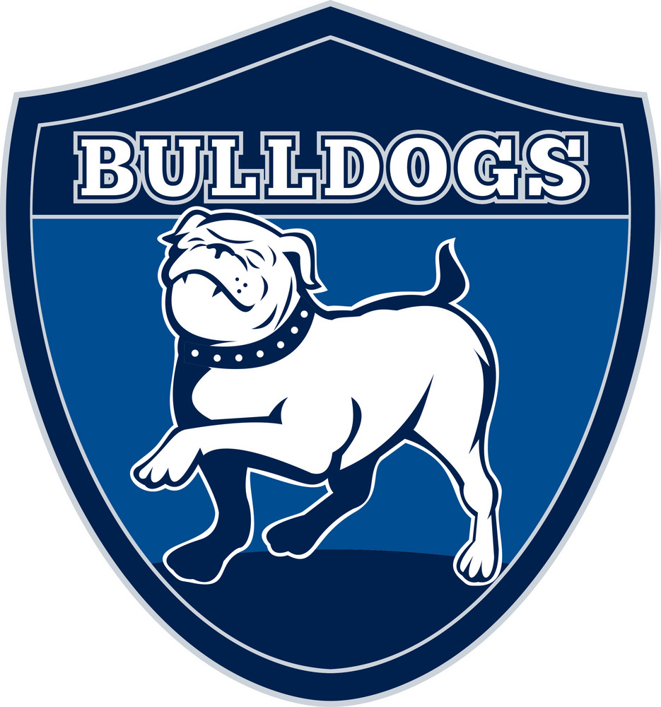 English Bulldog British Rugby Sports Team Mascot Royalty-Free Stock ...