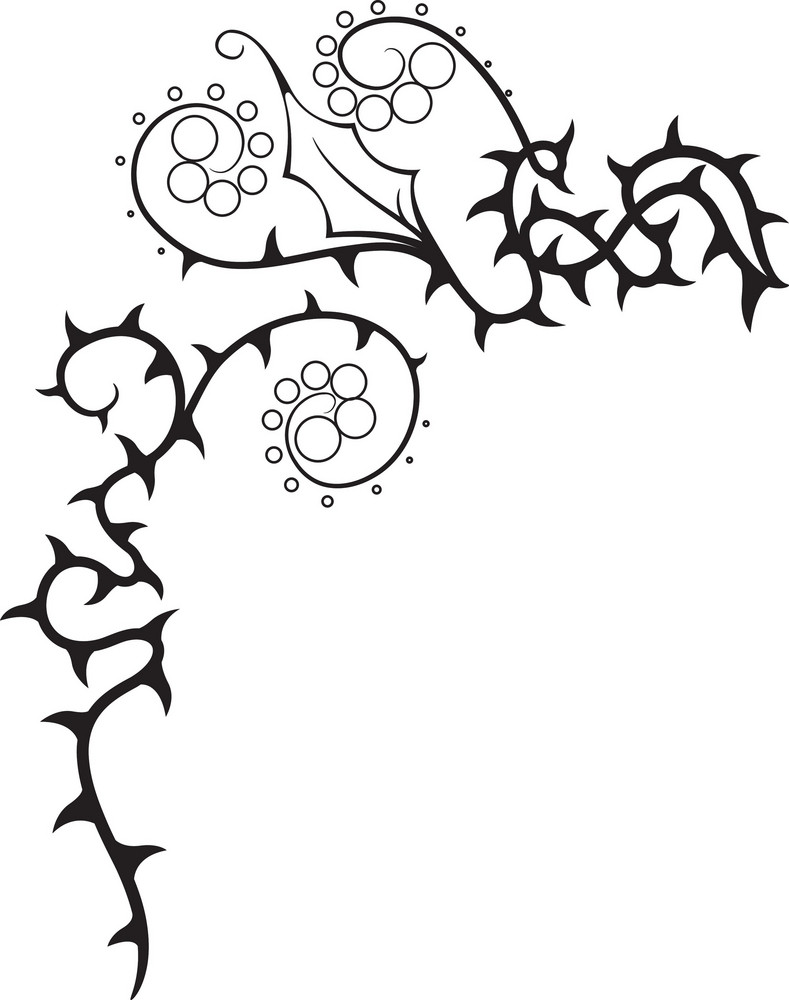 Floral Thorn Vector Element Royalty-Free Stock Image - Storyblocks