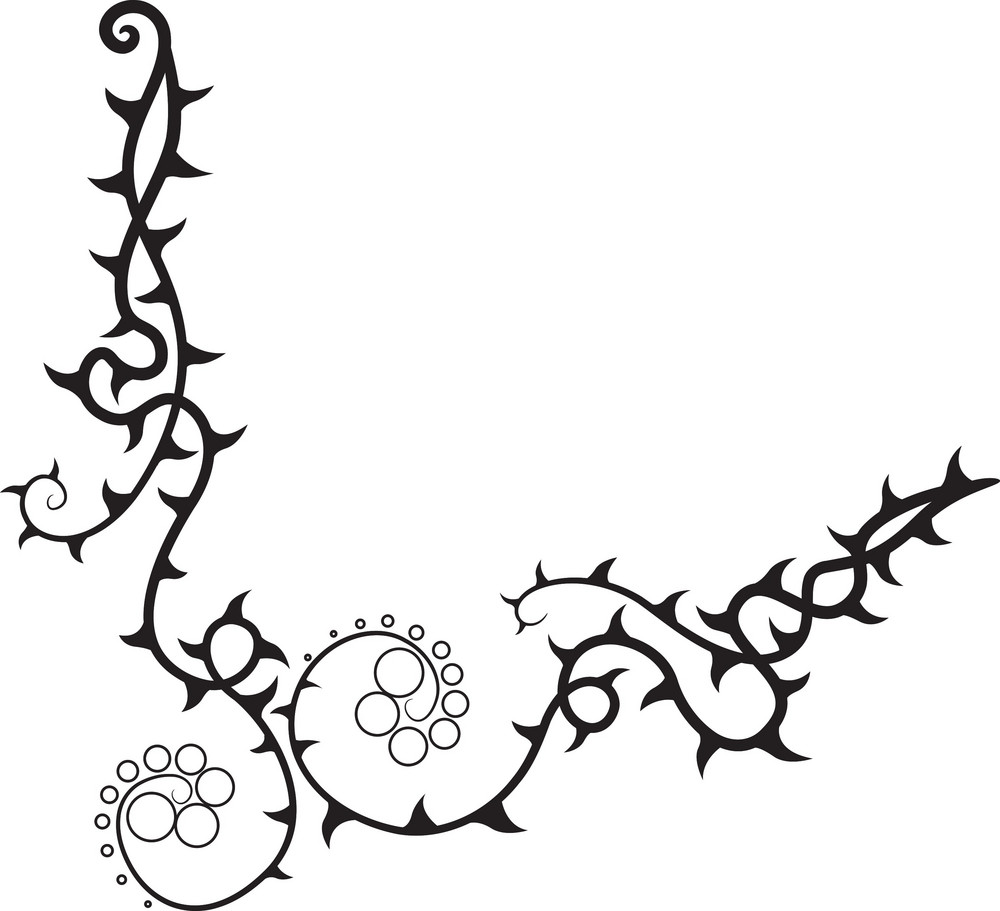 Floral Thorn Vector Element Royalty-Free Stock Image - Storyblocks