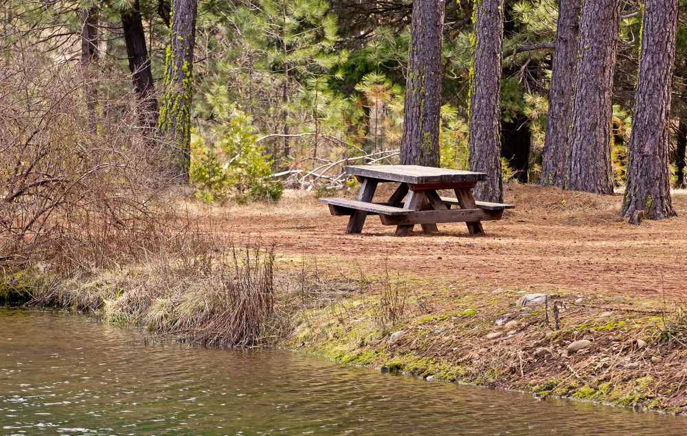 Forest Picnic Place Royalty-Free Stock Image - Storyblocks