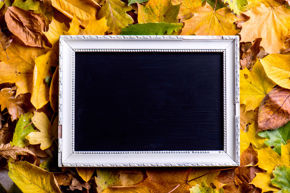 Autumn leaf composition with white picture frame with black board in it. Studio shot on wooden background. Copy space.