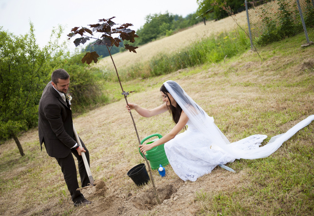 Beautiful Bride And Groom At Country Style Wedding Royalty Free