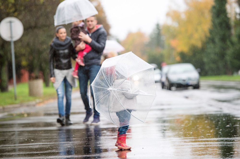 beautiful rain umbrellas