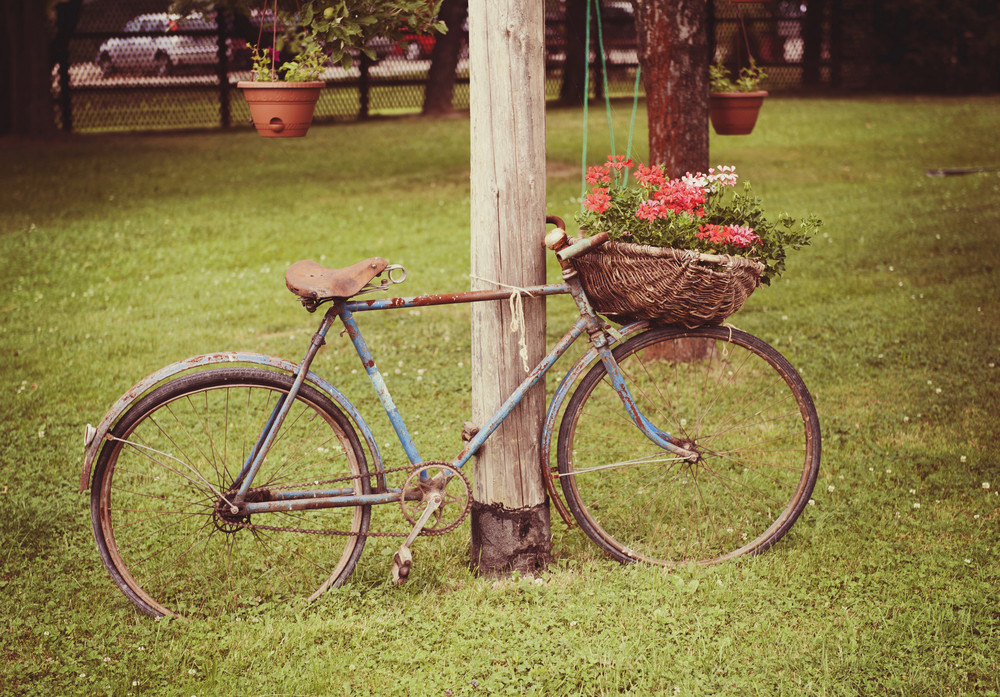 Retro styled image of an old broken rusty bicycle with flowers in ...