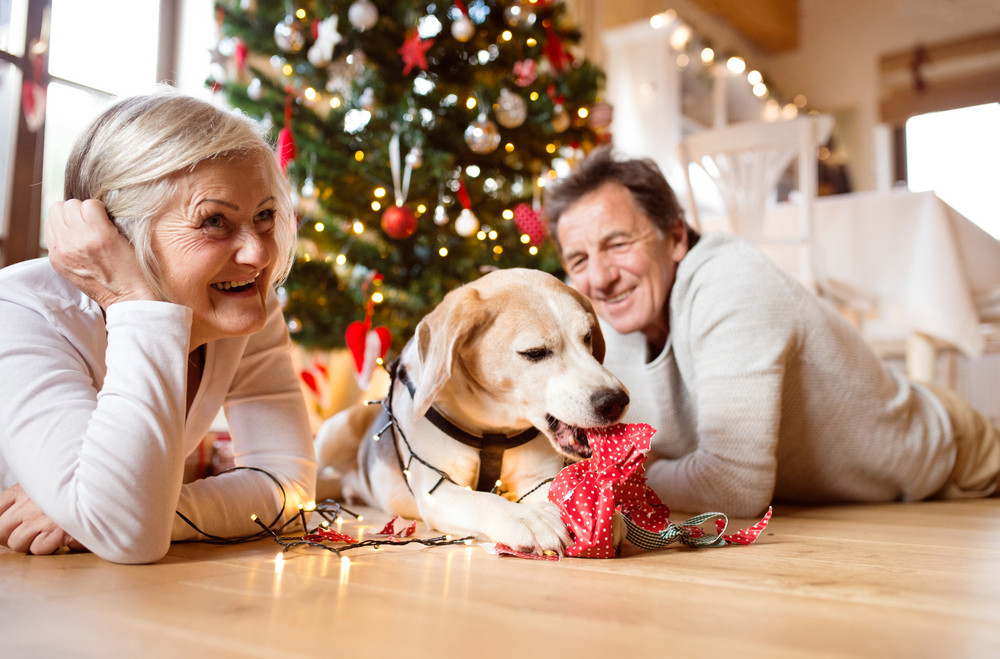 Senior couple lying on the floor in front of illuminated Christmas tree inside their house with their dog chewing ornaments.