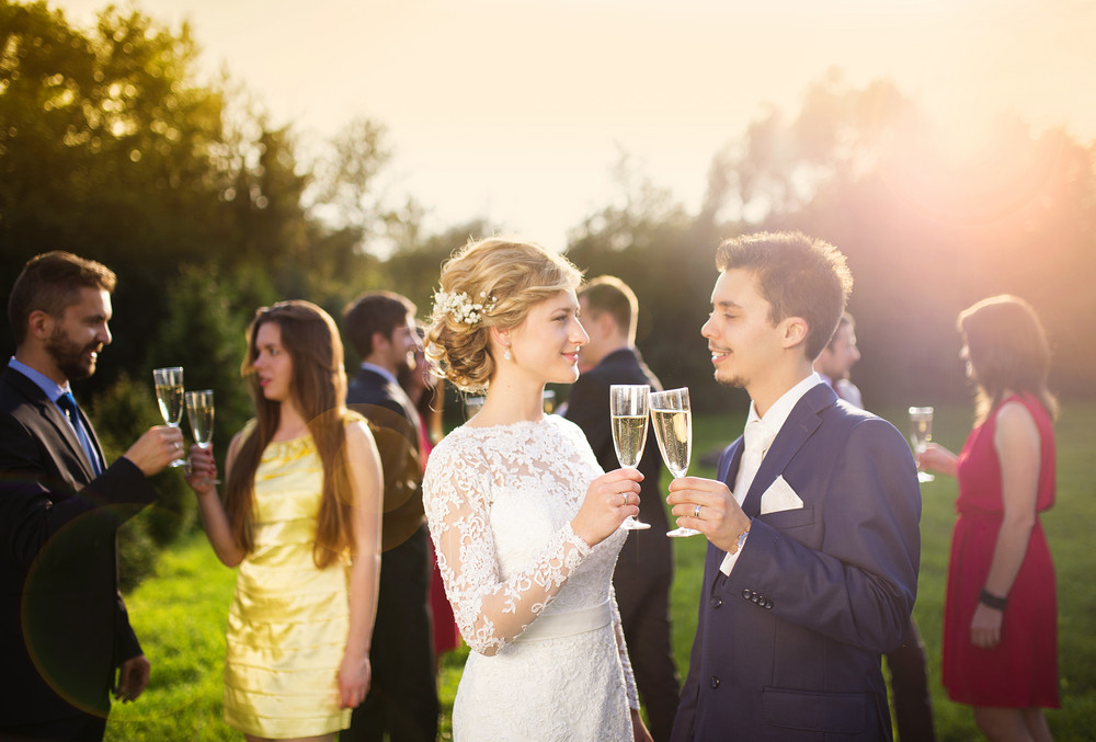 Young Newlyweds And Wedding Guests Clinking Glasses At Wedding