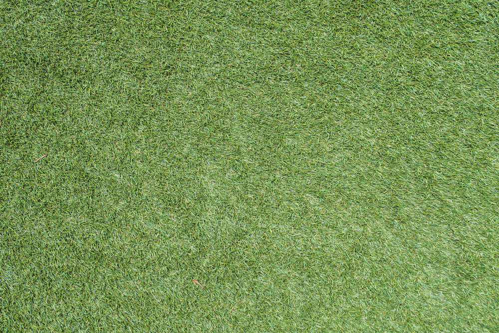 Green grass soccer field texture and background