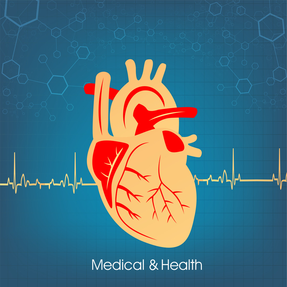 Health & Medical Concept With Heart Shape On Blue Heartbeat Decorated ...