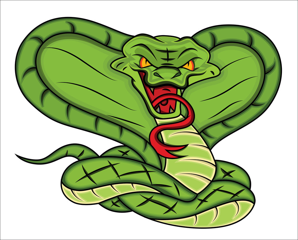 Mascot Of Angry Snake Vector Illustration Royalty-Free Stock Image ...