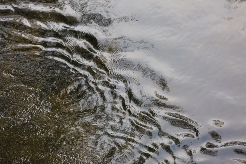 Water surface photographed from above. Wild river surface with ripples ...