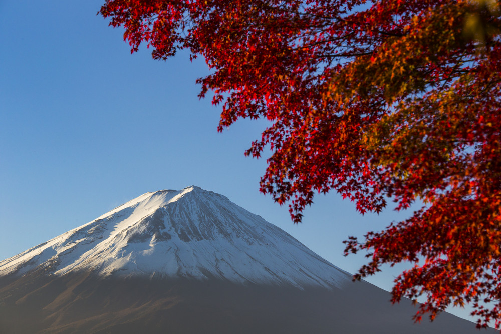 Mount Fuji with red autumn leaf. Japan Royalty-Free Stock Image ...