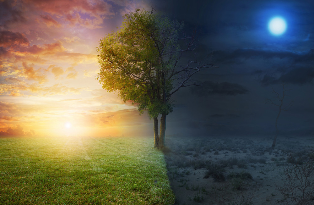 Night and day landscape with a single tree Royalty-Free Stock Image ...