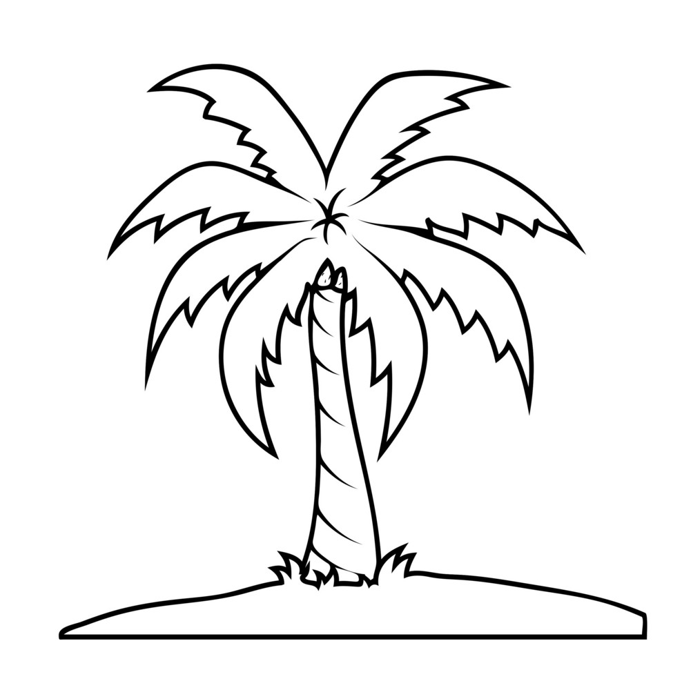 Palm Tree Shape Royalty-Free Stock Image - Storyblocks