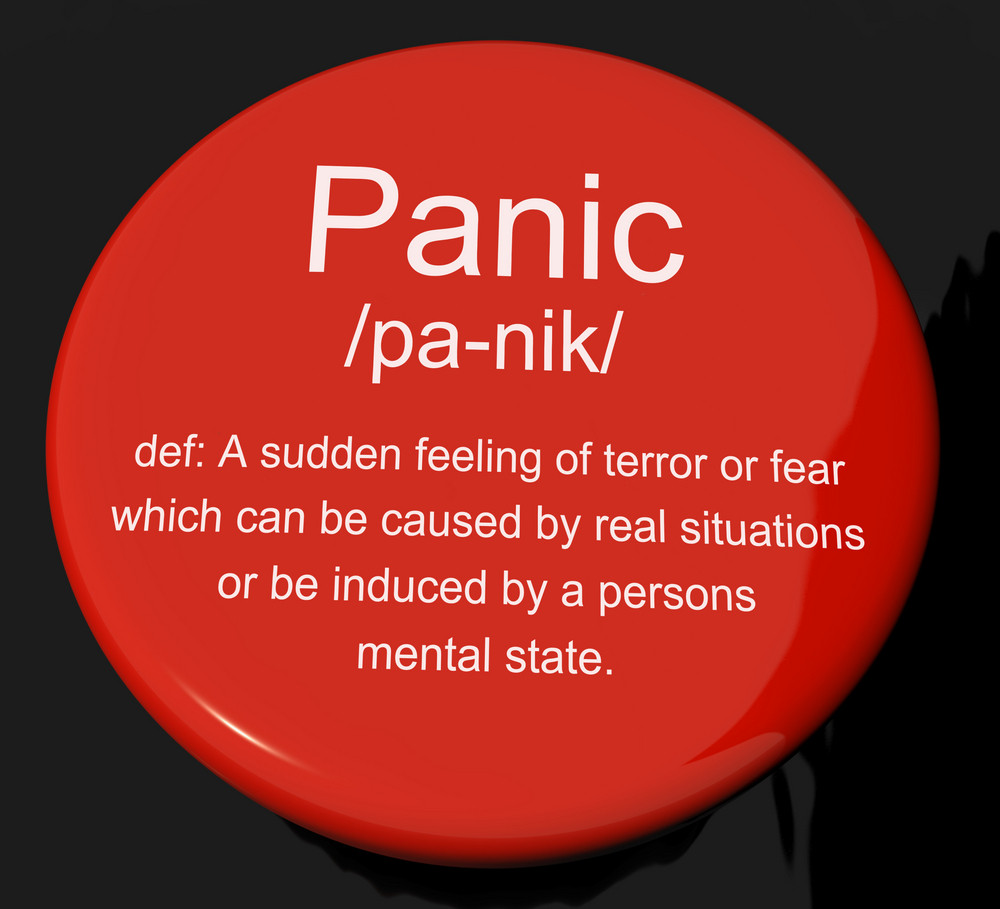 panic mode definition