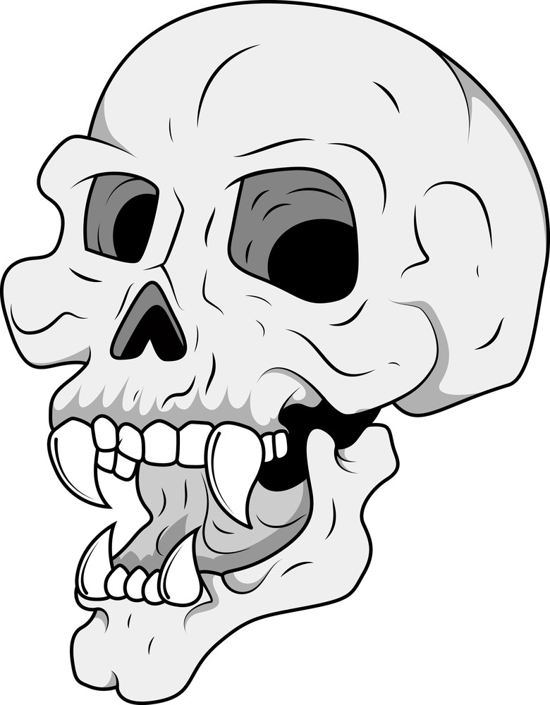 Royalty Free Vector Head Skull Royalty Free Stock Image - 