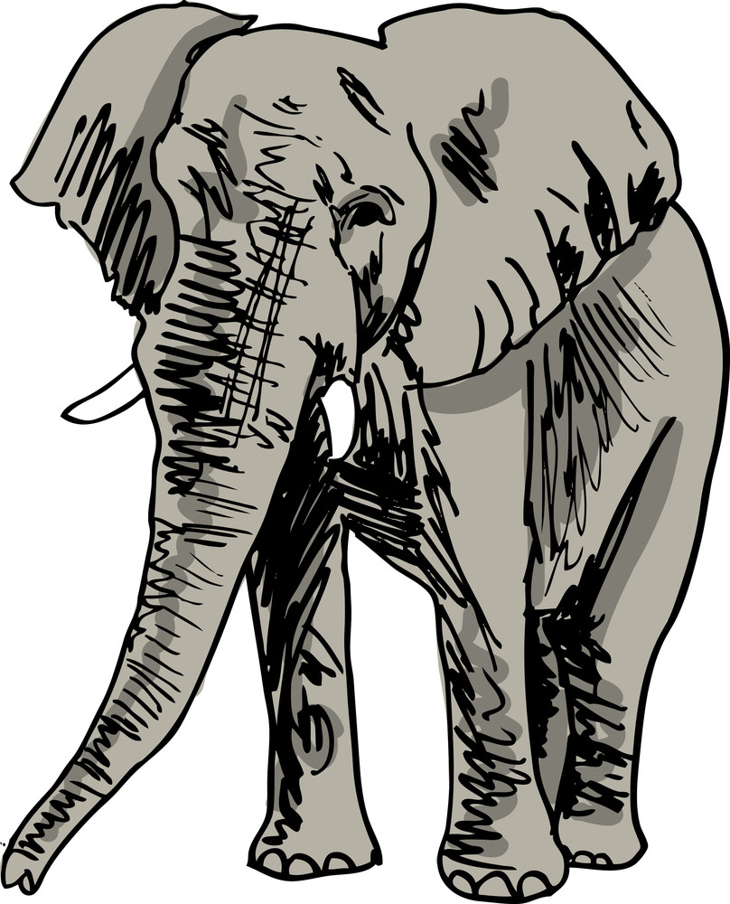 Free Free 74 Elephant Sketch Svg SVG PNG EPS DXF File