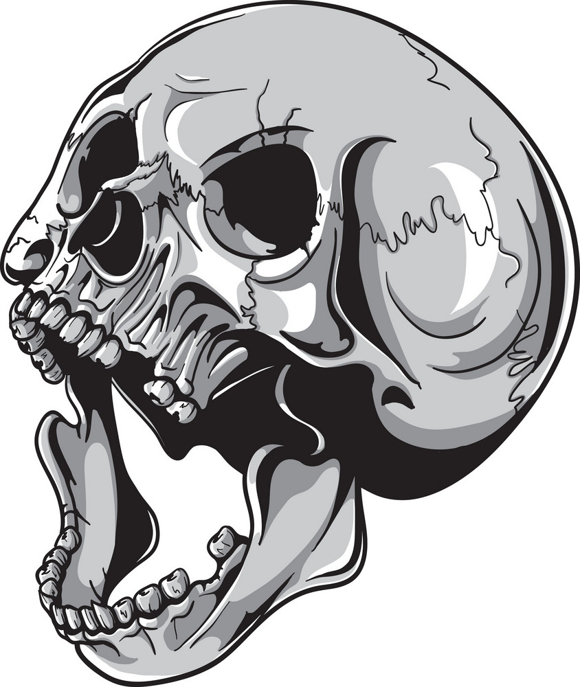 Skull Vector Element Royalty-Free Stock Image - Storyblocks