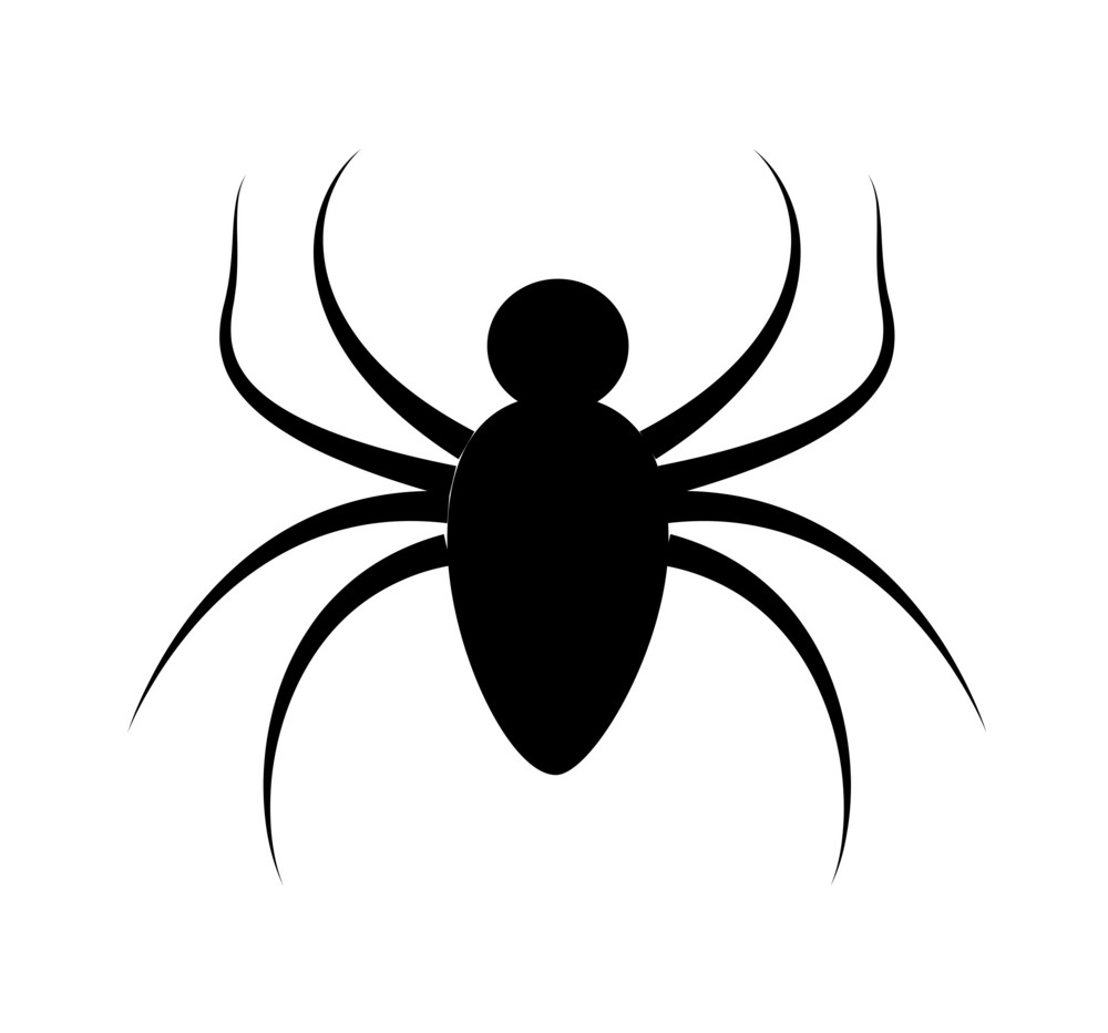 Spider Silhouette Royalty-Free Stock Image - Storyblocks