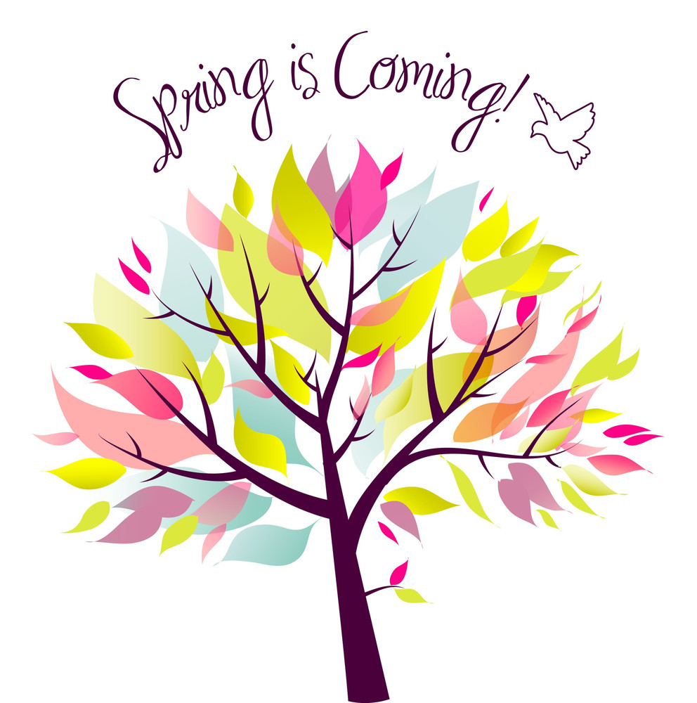 Spring Is Coming! RoyaltyFree Stock Image Storyblocks