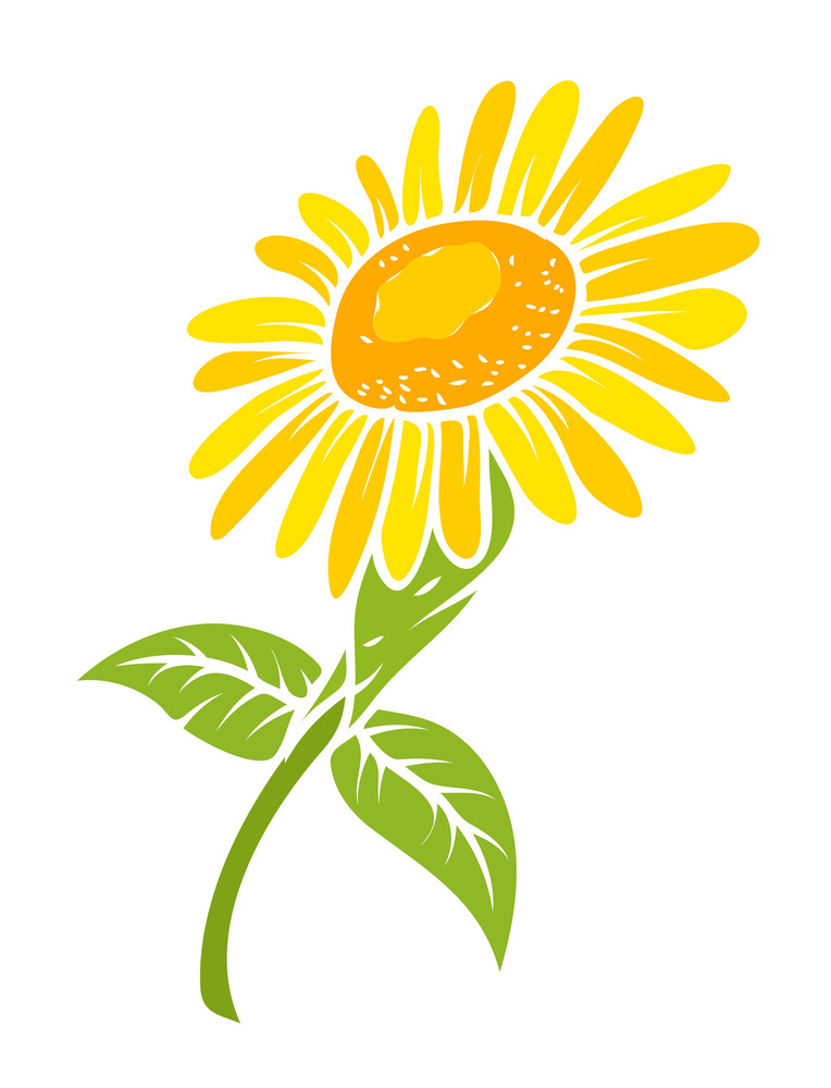 Free Free Vector Sunflower Svg Free 493 SVG PNG EPS DXF File