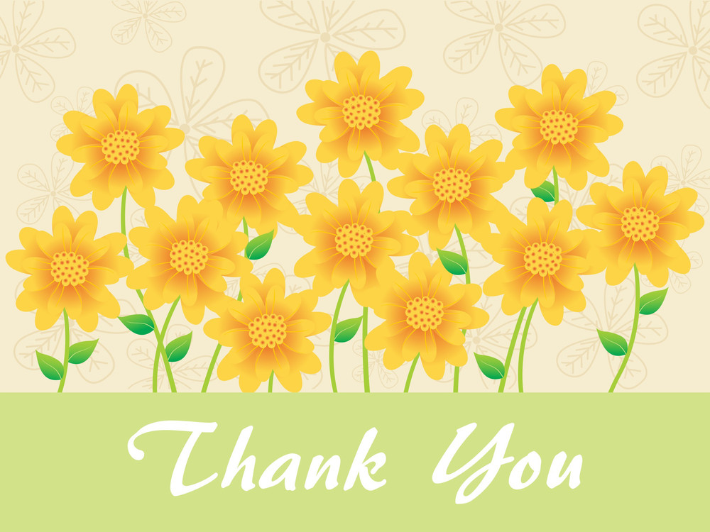 Sunflowers Background With Thankyou Text Royalty-Free Stock Image ...