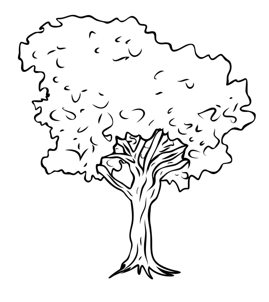 Tree Sketching Royalty-Free Stock Image - Storyblocks