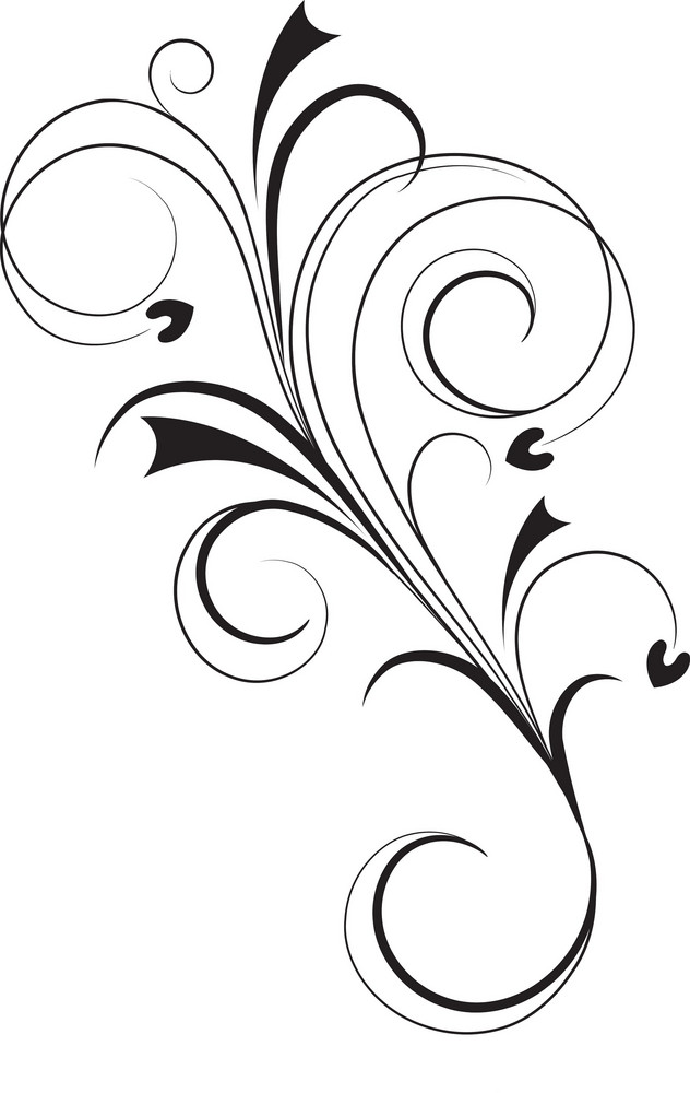 Vector Floral Flourish Royalty-Free Stock Image - Storyblocks