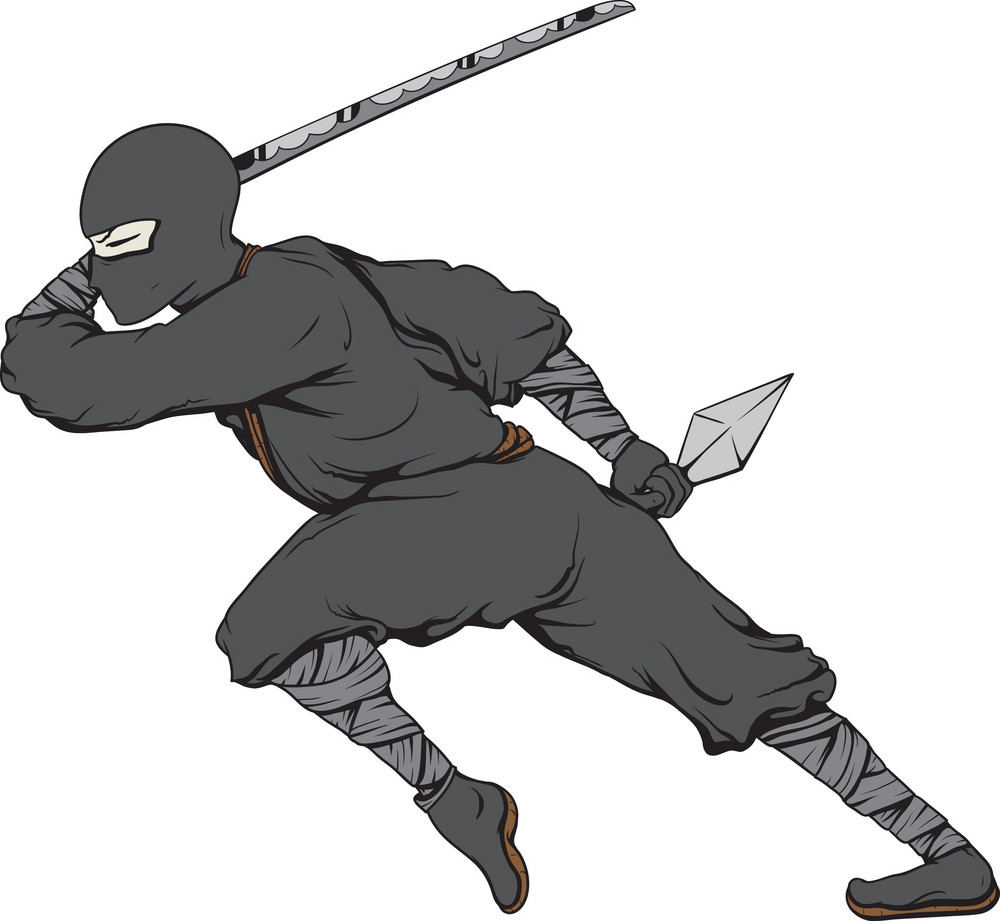 Vector Ninja Royalty Free Stock Image Storyblocks